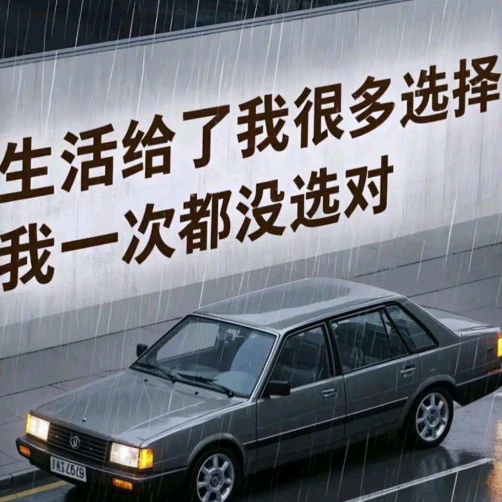 海纳百川军哥