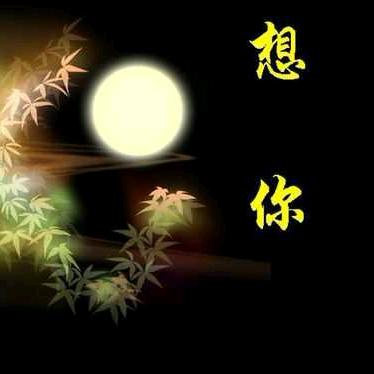 今生有你