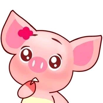 飞天小猪