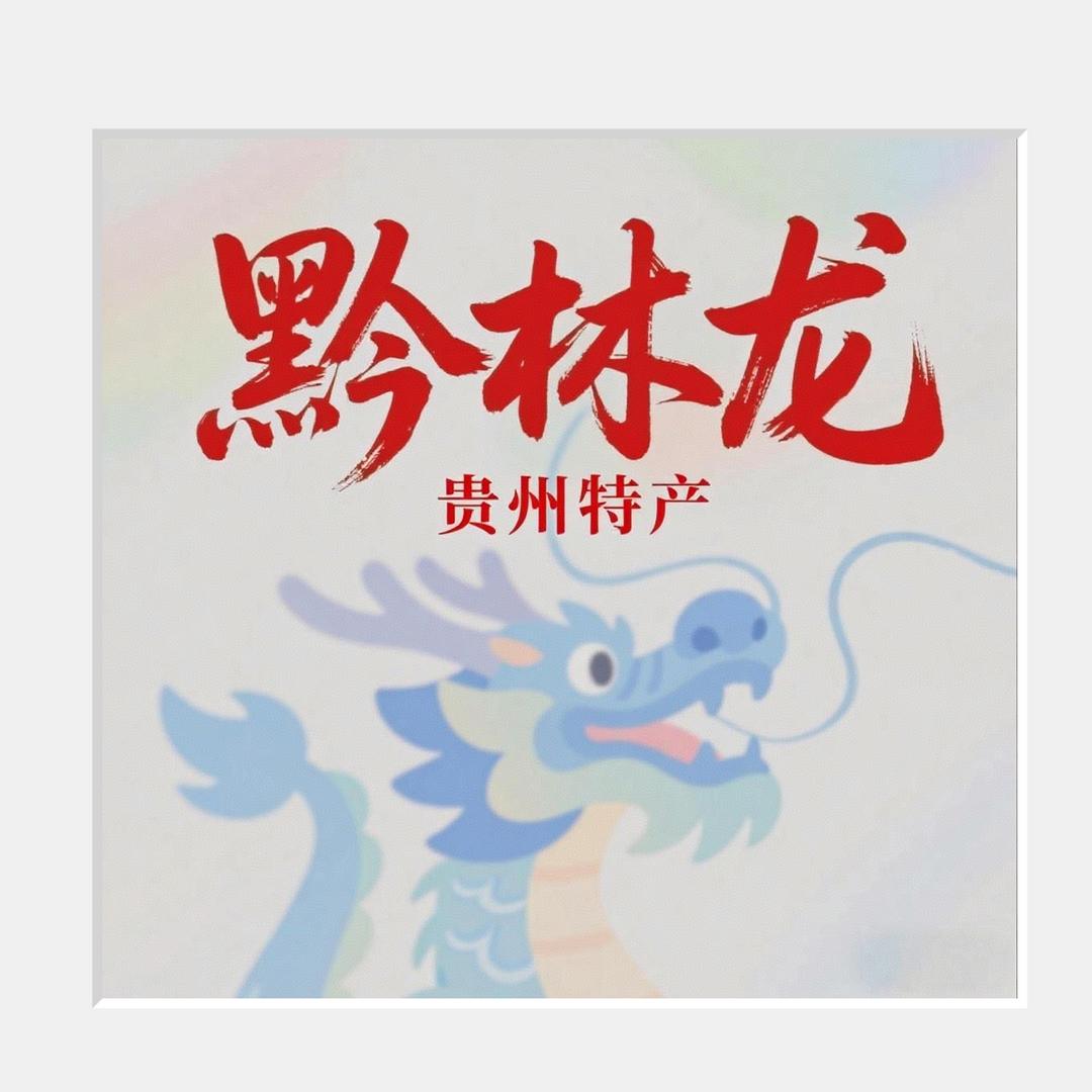 黔林龙 贵州特产