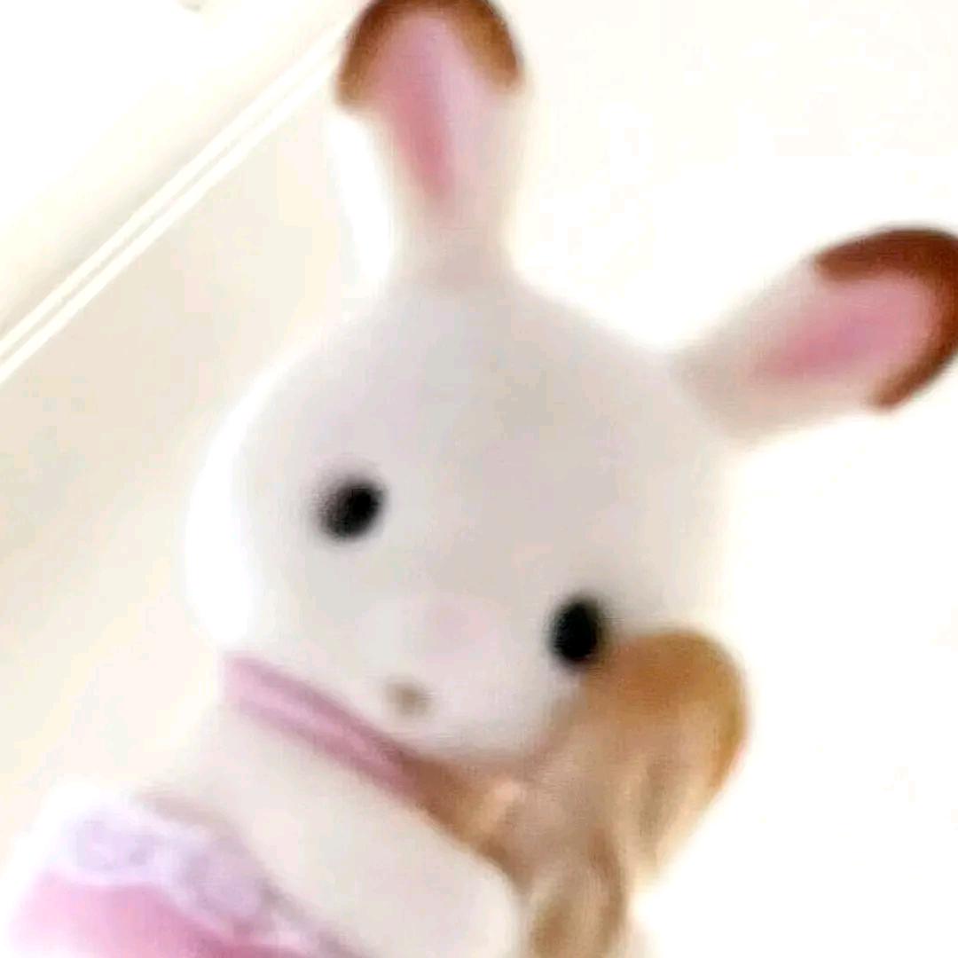 makoto-00（32🍞）