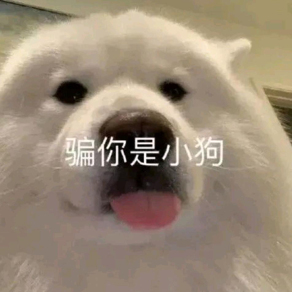 夜半