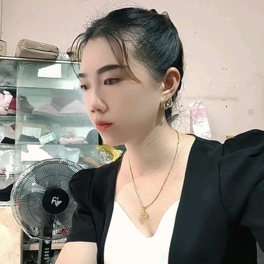 飞扬燕子