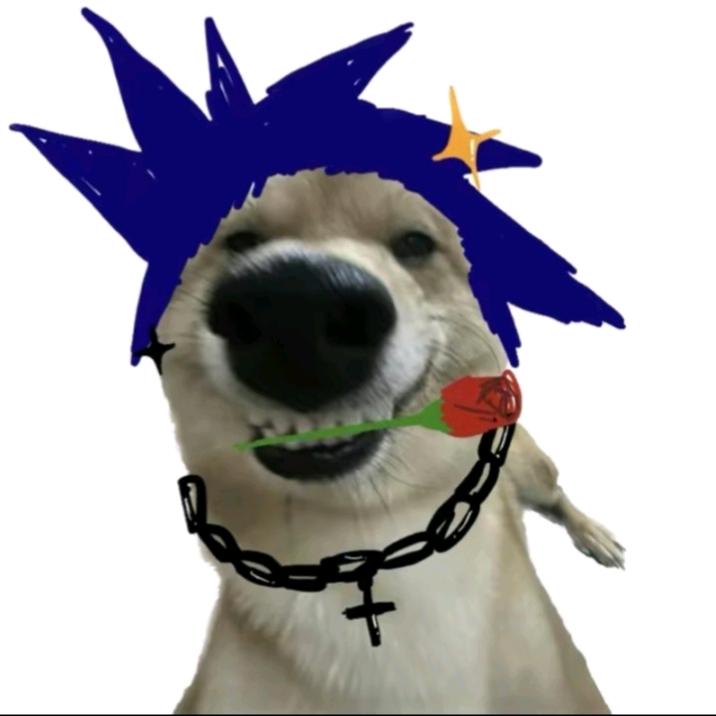 🌈x番茄猫宝🌈