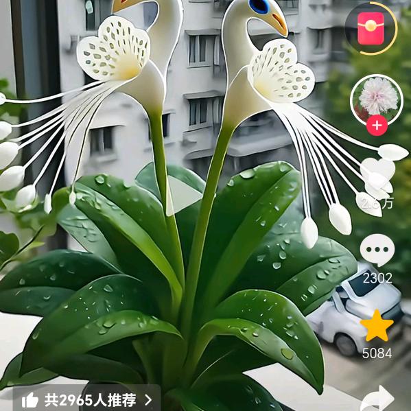 🐉一〽️'生⚡️⚜有💖🔥你💫