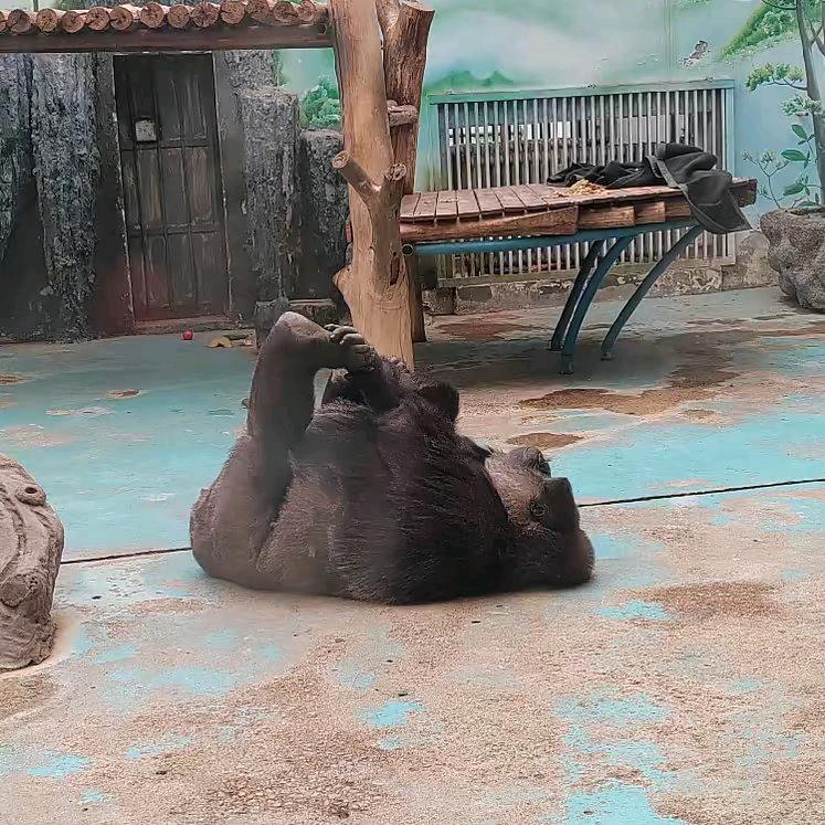 省下晚饭去旅行～（减肥版）