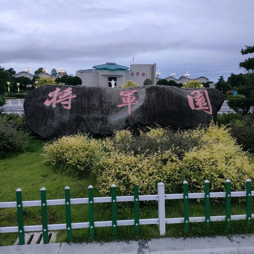 如果我的善良得不到尊重，那就让我长刺吧