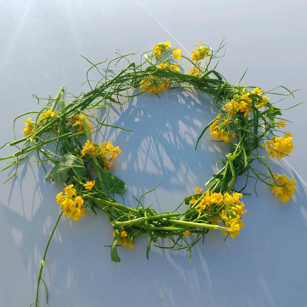 👠女鞋专场🌹