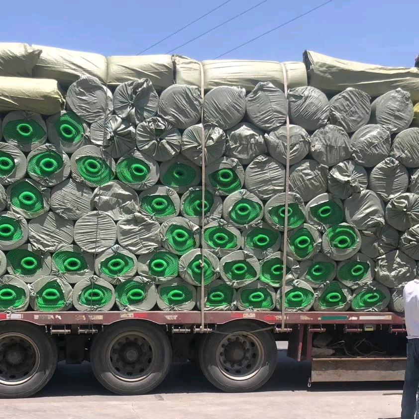 王羽加油瘦它40斤