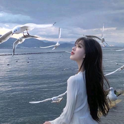 玫瑰余香