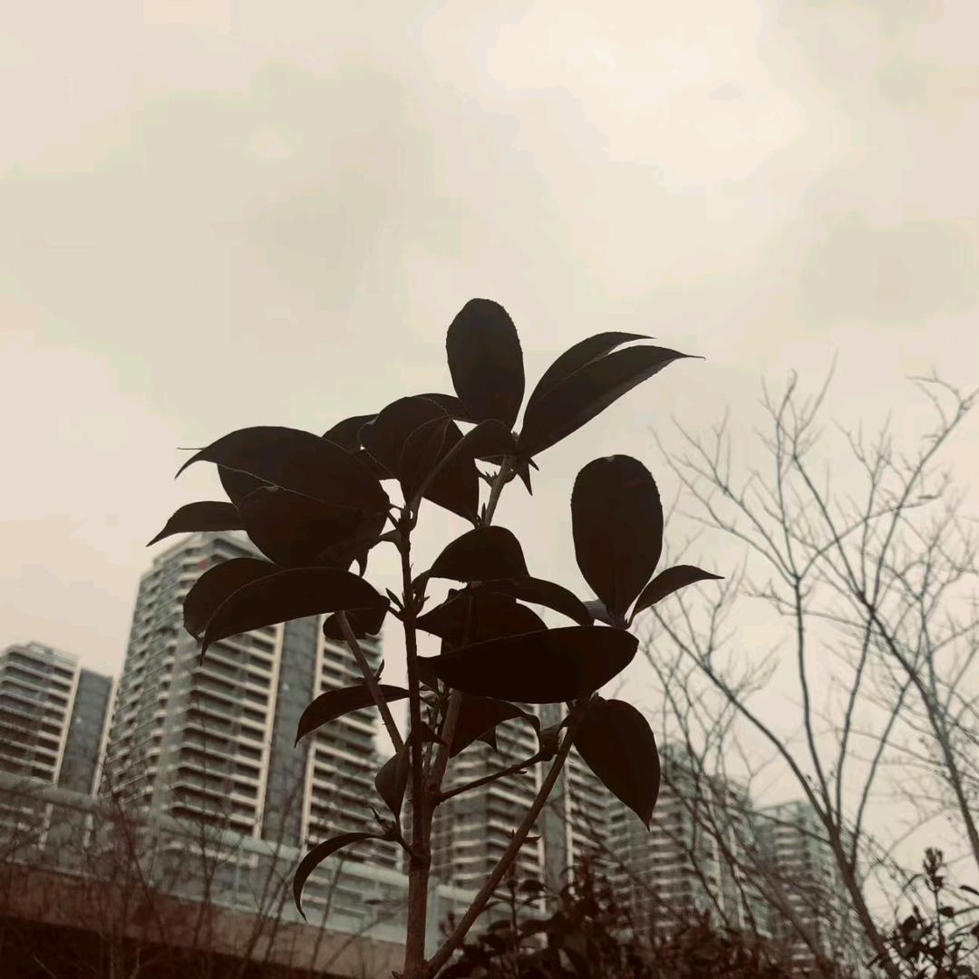 承景百货商行（个体工商户）