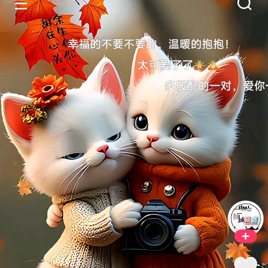 爽心