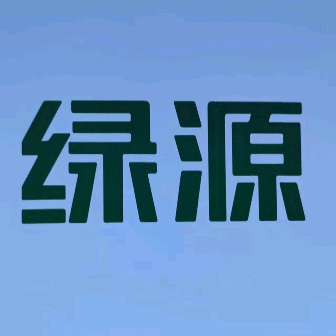 绿源电动车业杨贵琴