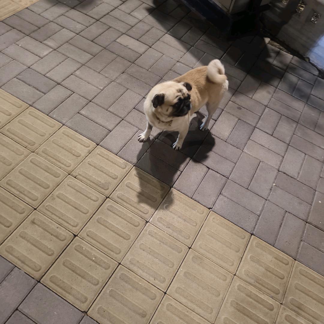 细雨润物