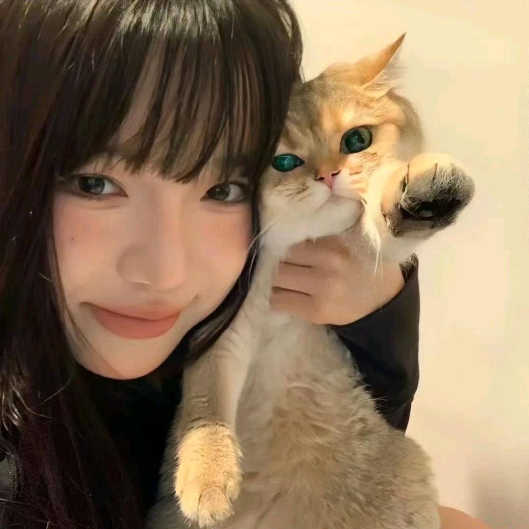 影影子🍥