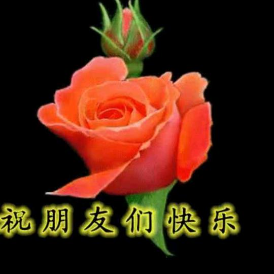 阳光女人