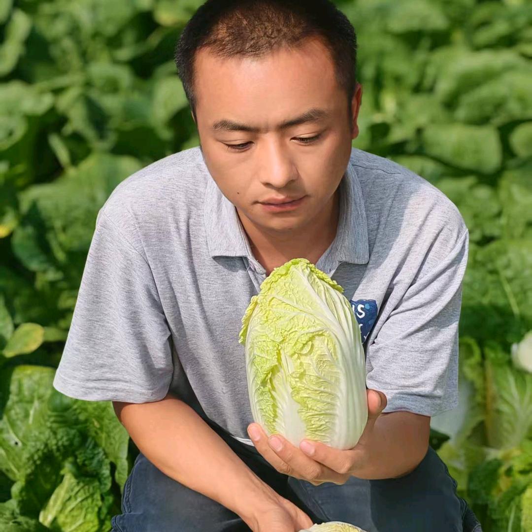 慧远鲜生