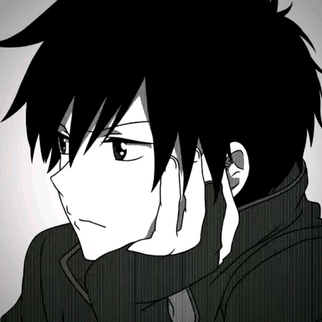 爱吃西红柿炒鸡蛋