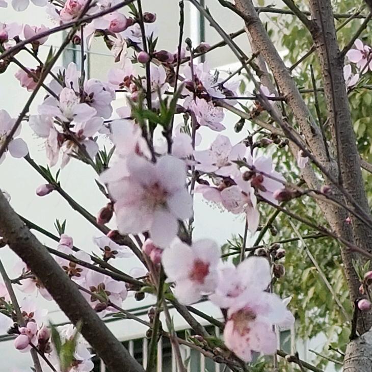 梦不完的你