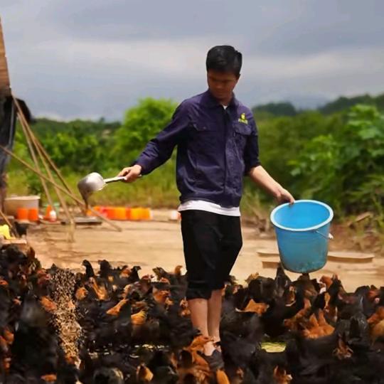 家禽管理高老师