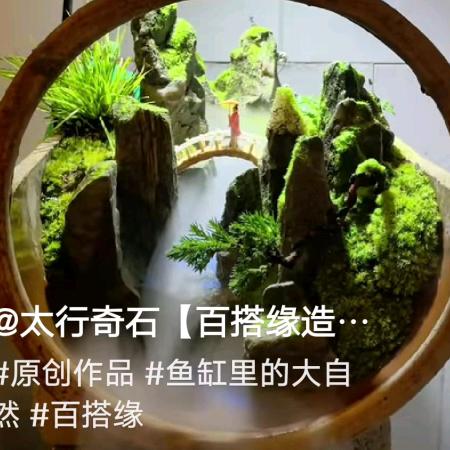 【百搭园造景】