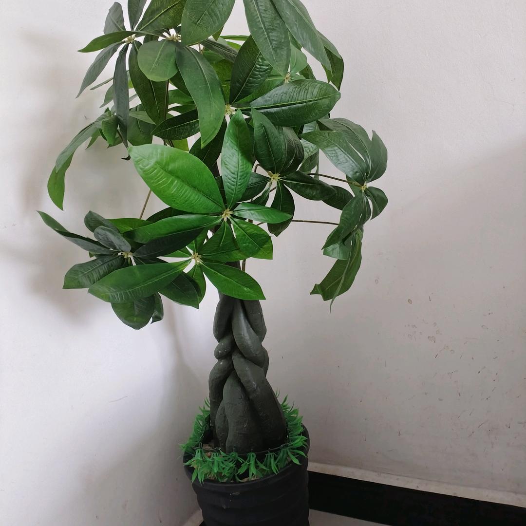 阿荣、、
