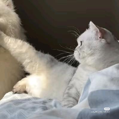 el慢慢
