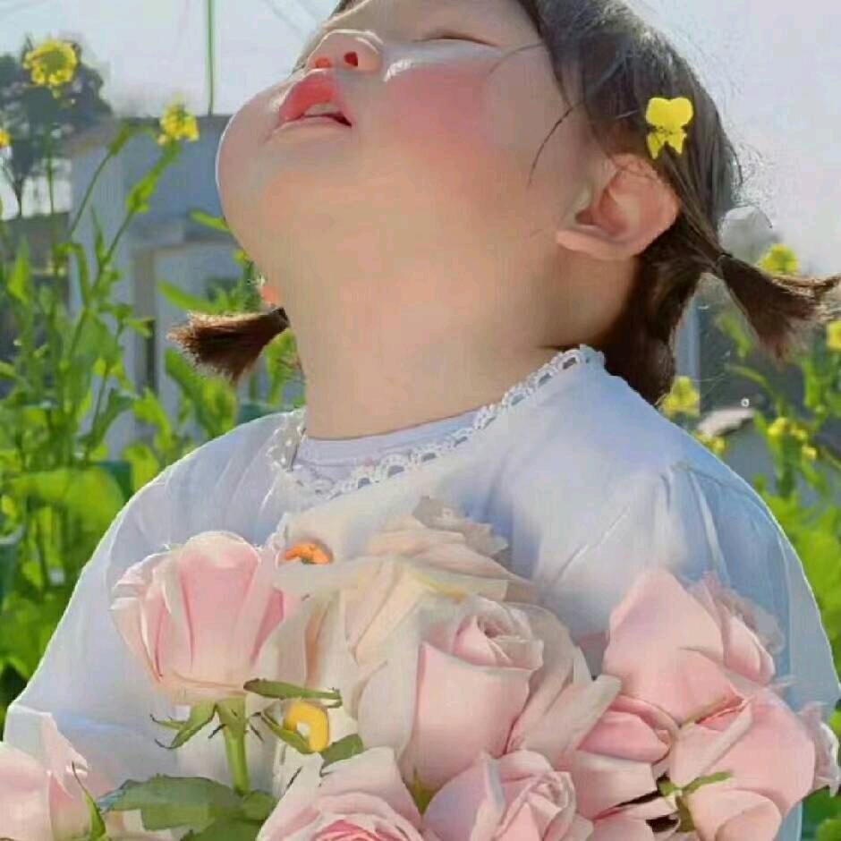冰凤芸灵