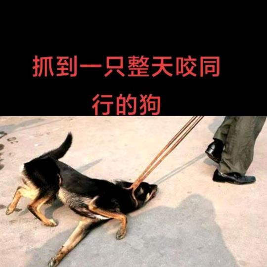 大家好，我是于大嘴说车