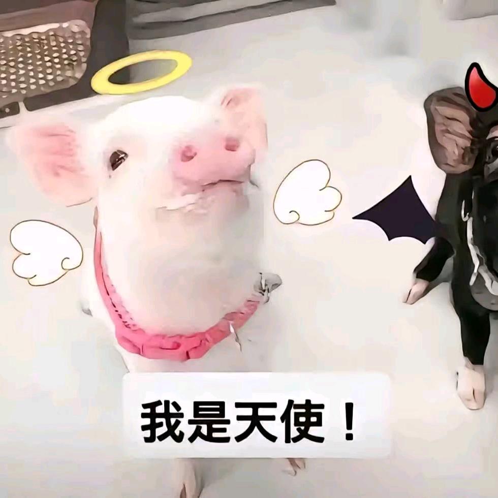 以泪执笔