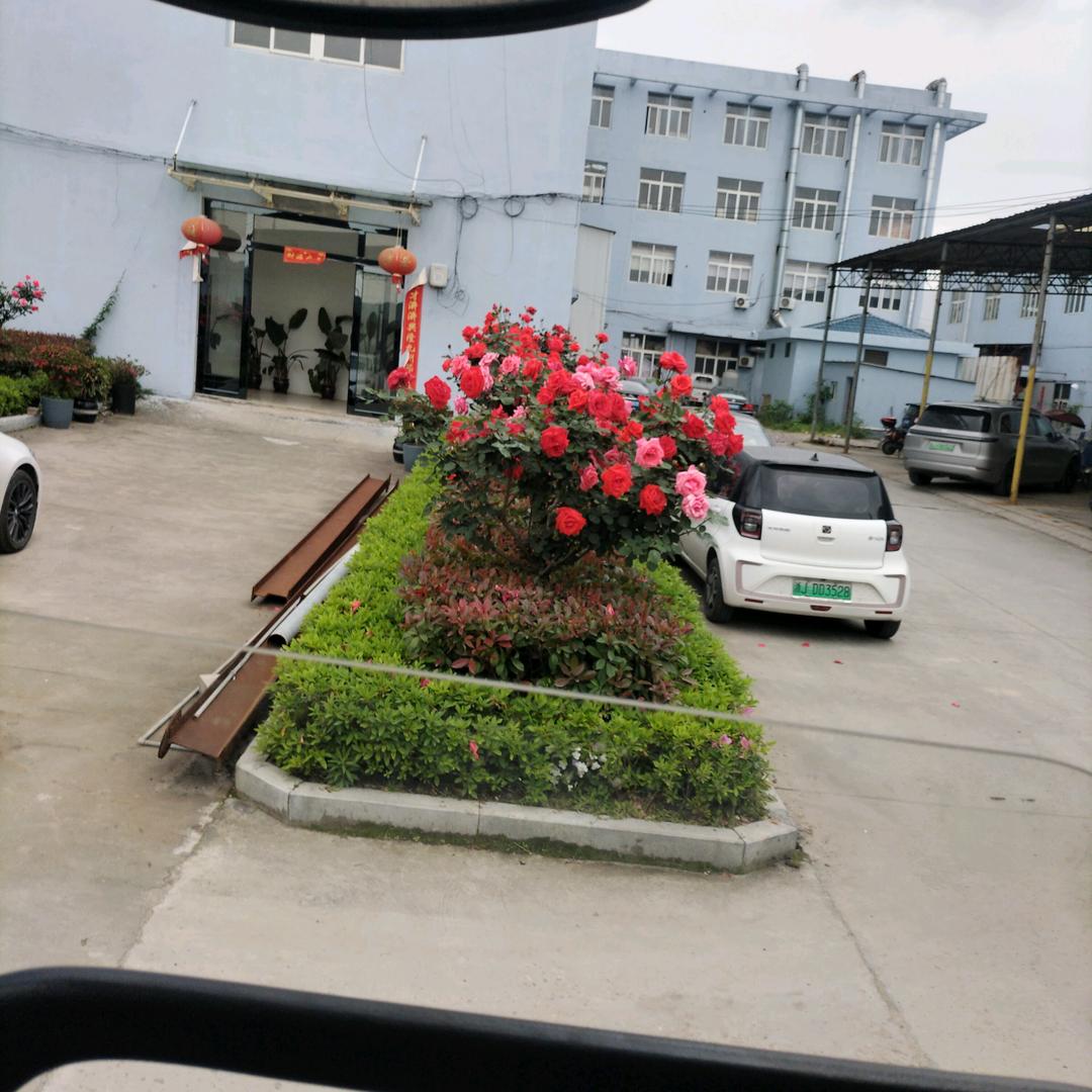 不离不弃