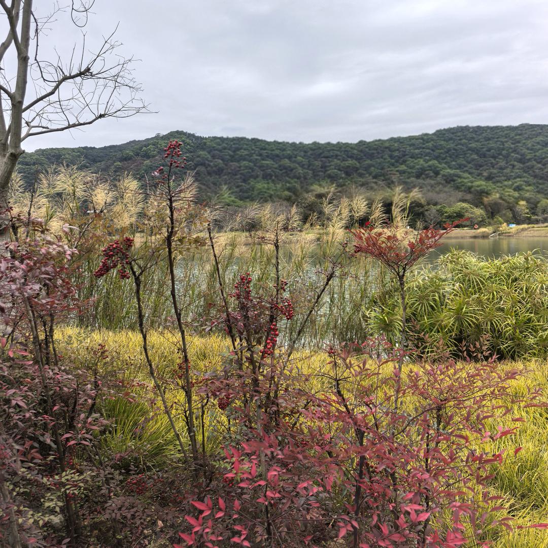 ღᩚ᭄ 冬月  ৡᩚ࿐