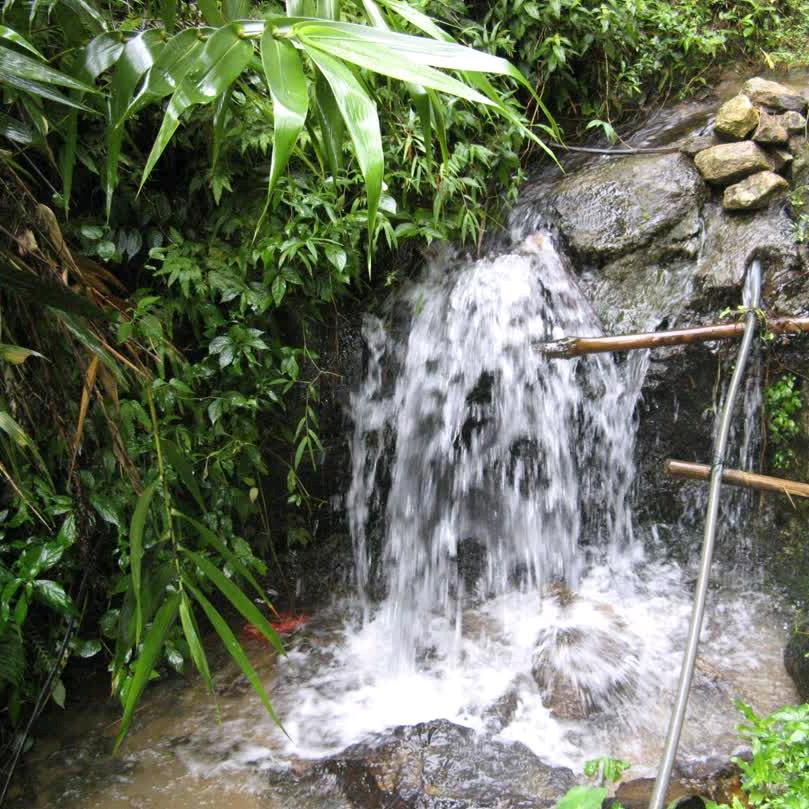 坦荡.