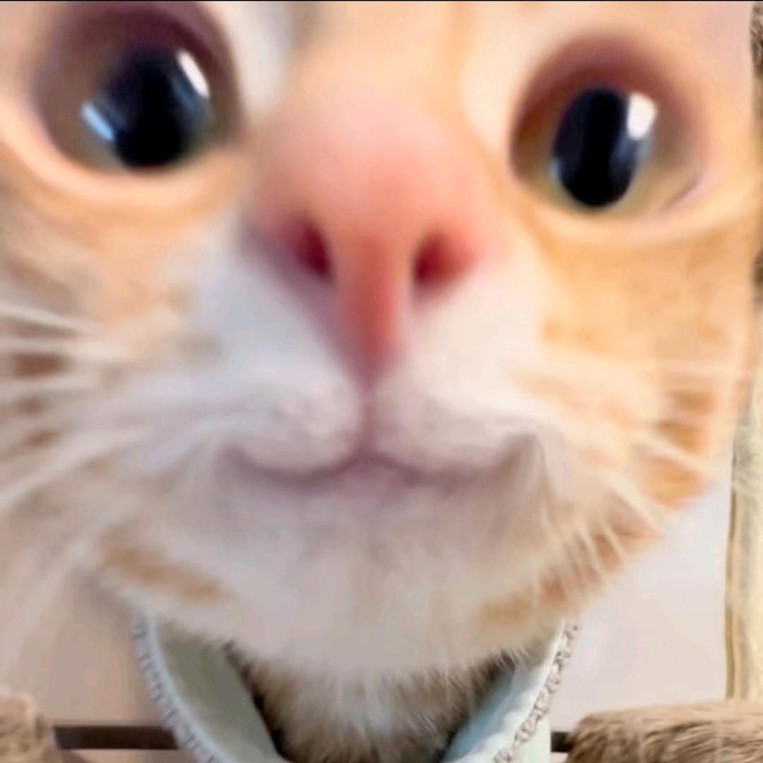 下次