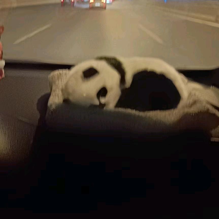 知足常乐❤️