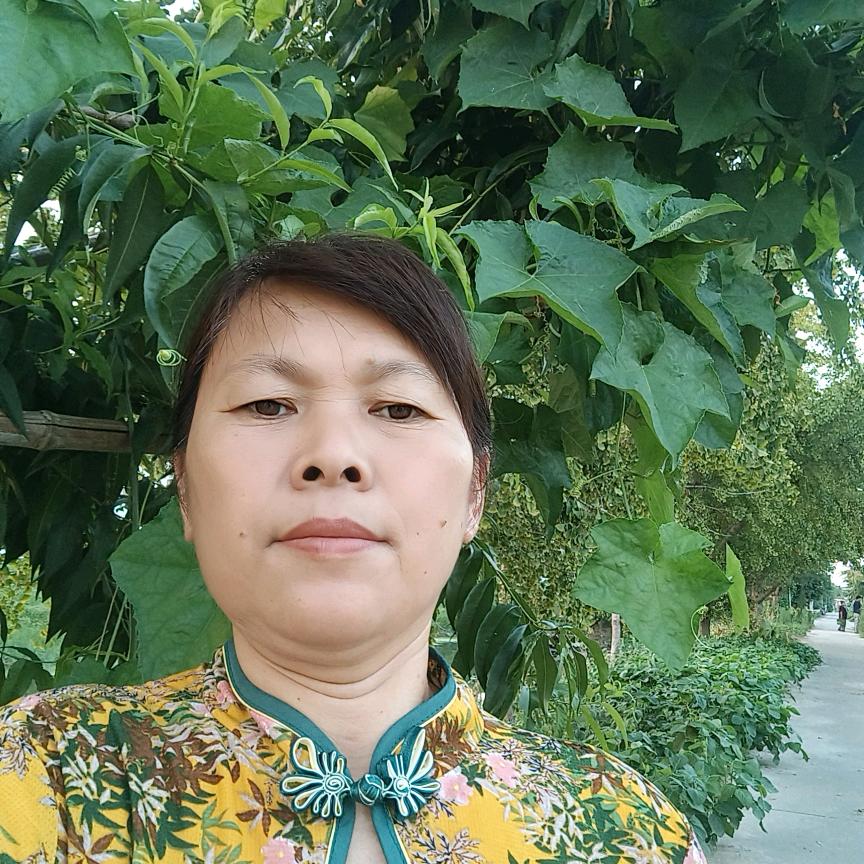 开心大姐