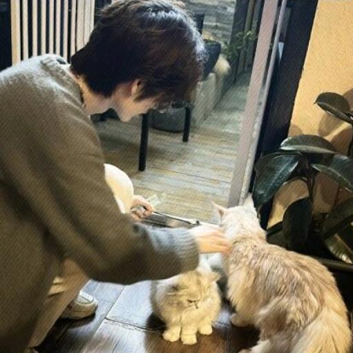 如果忧郁是种天赋.