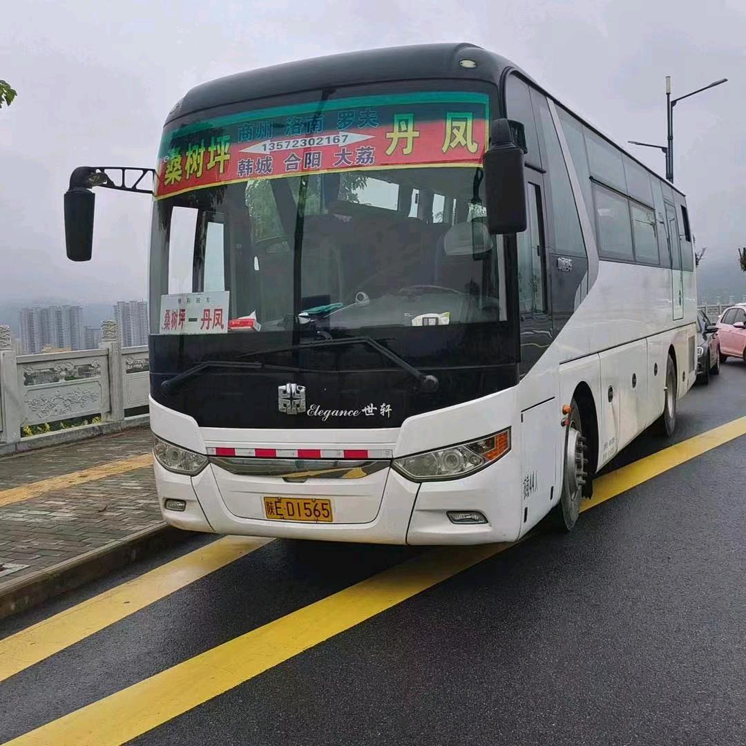 桑树坪一丹凤班车