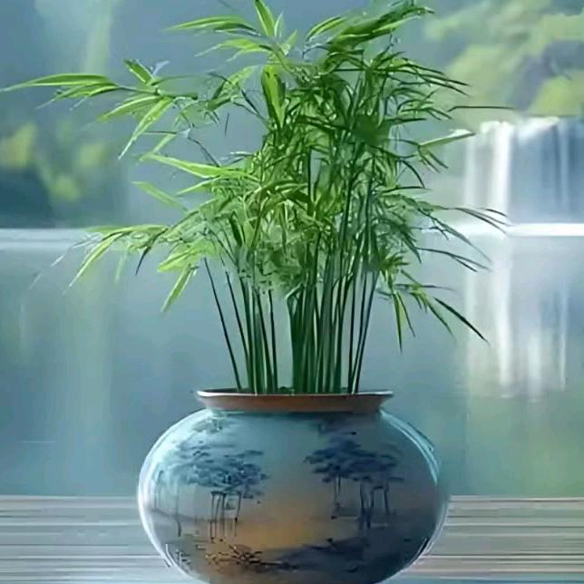 美好的生活(>﹏<)