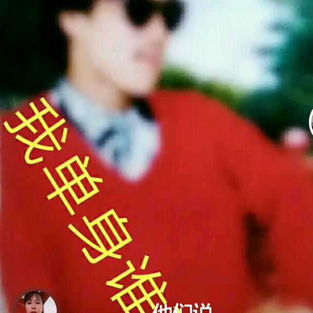 批发零售杉木