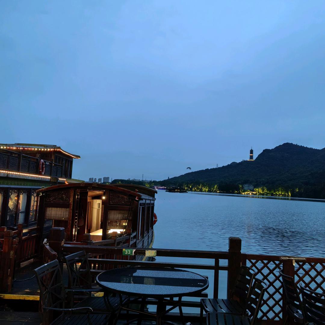 低调的杨老师