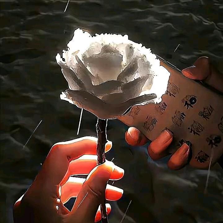 迪森鞋业