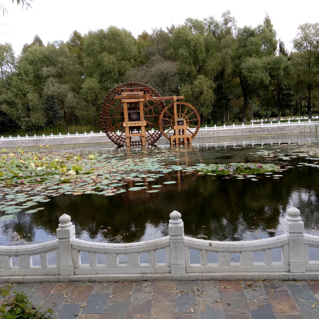 美丽女人