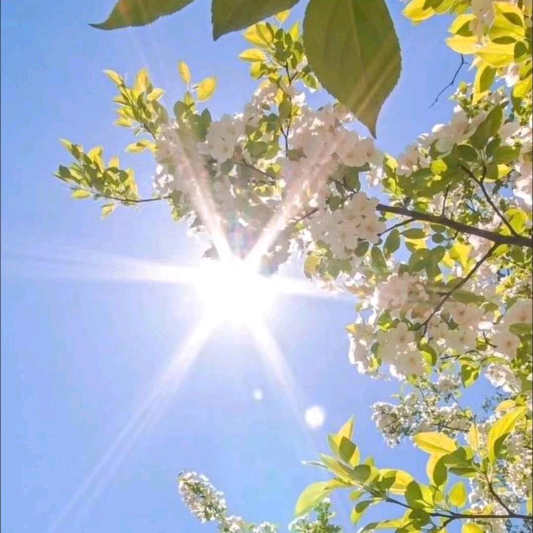 此生有你、足矣