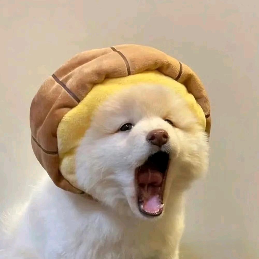 太下小君