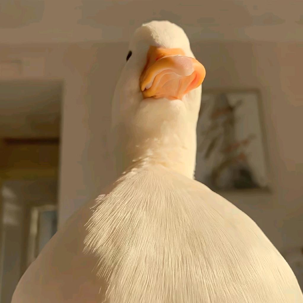 Aaaaaaaaaa