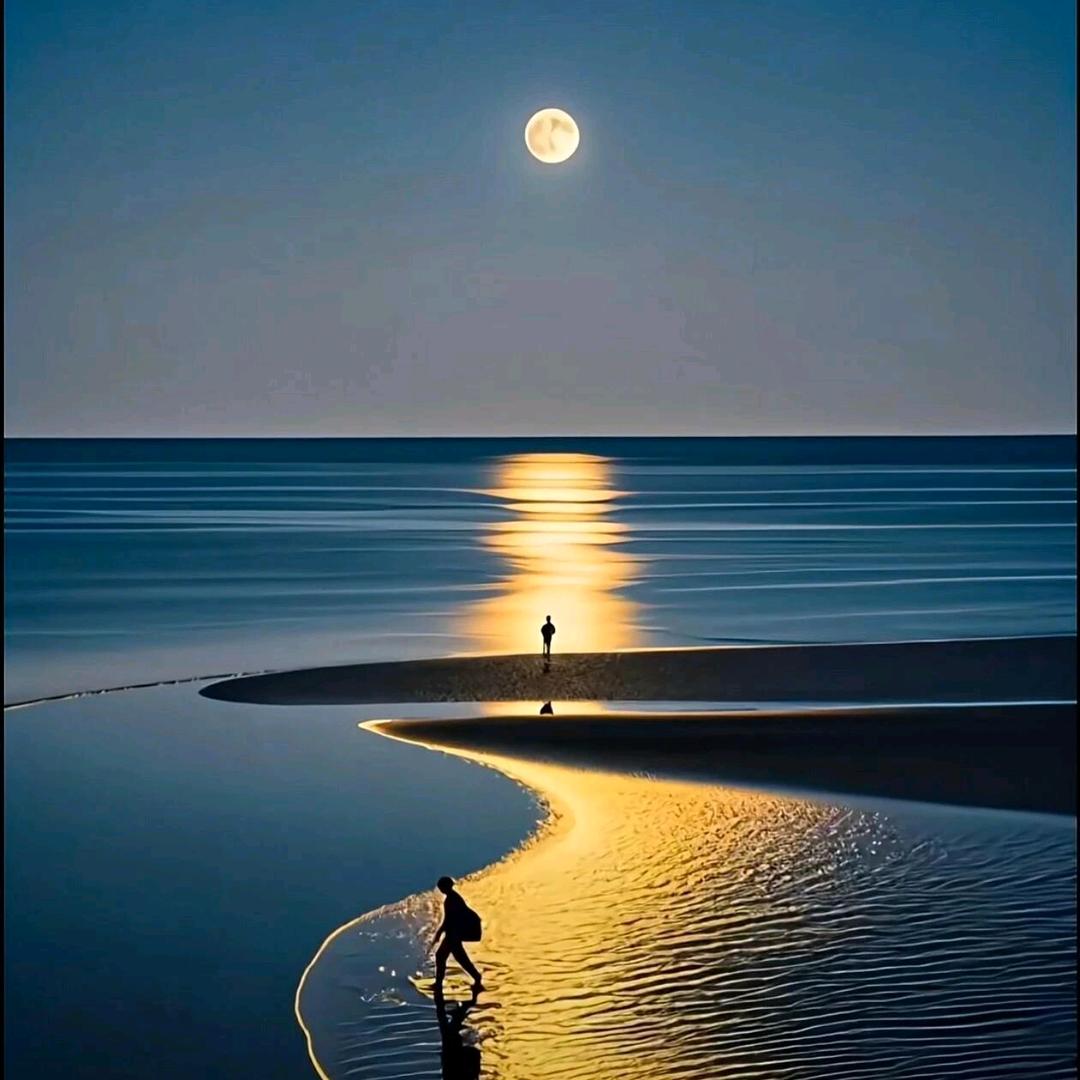 💫自由飞翔