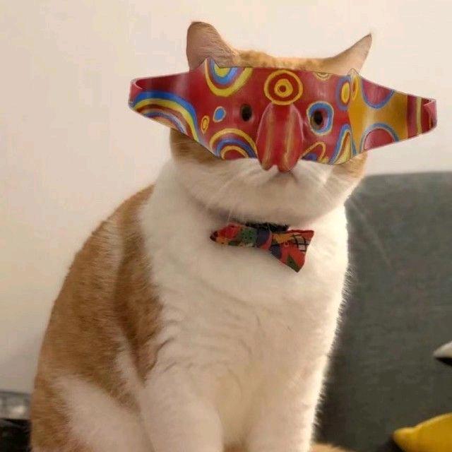 文