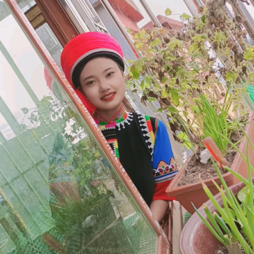 哈尼 兰兰（云南特产）