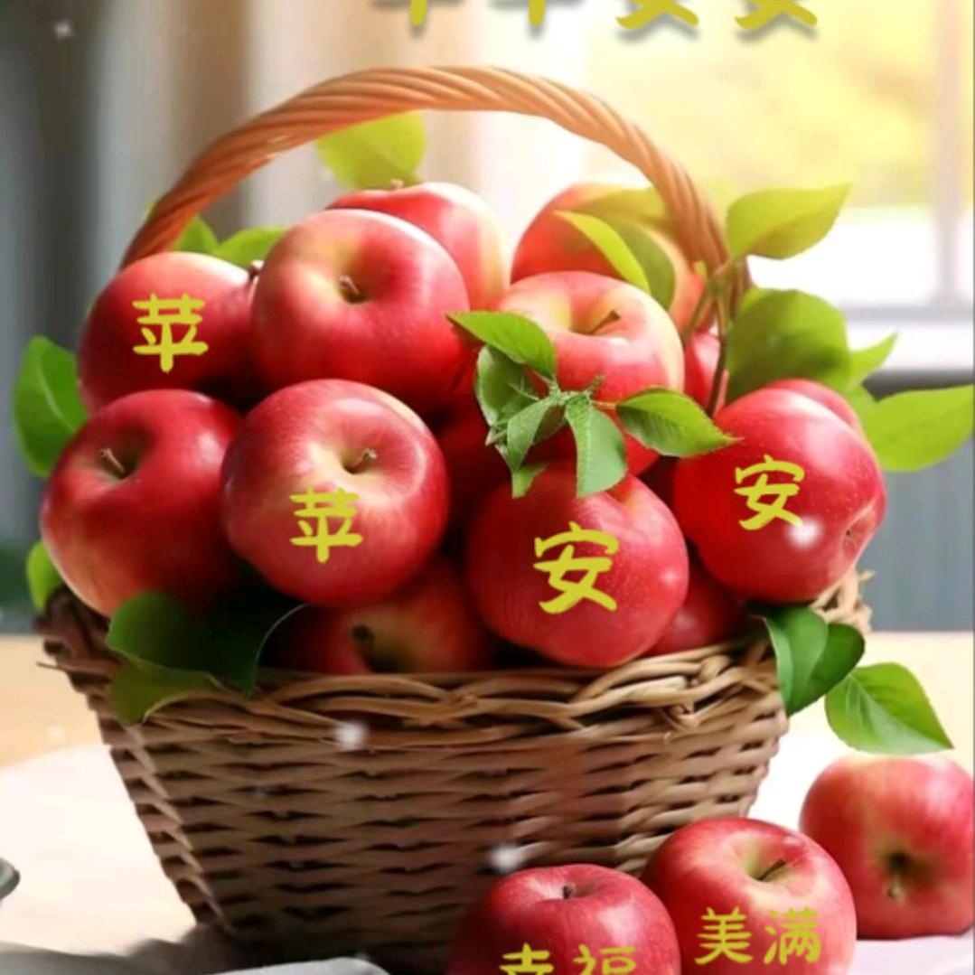 豫p梁哥